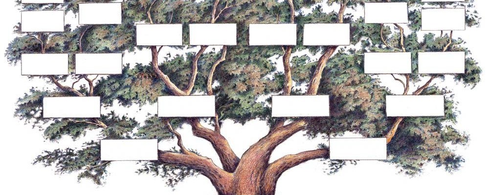 Četrti četrtek – radionice razmjene vještina: Kako izraditi vlastito rodoslovno stablo?