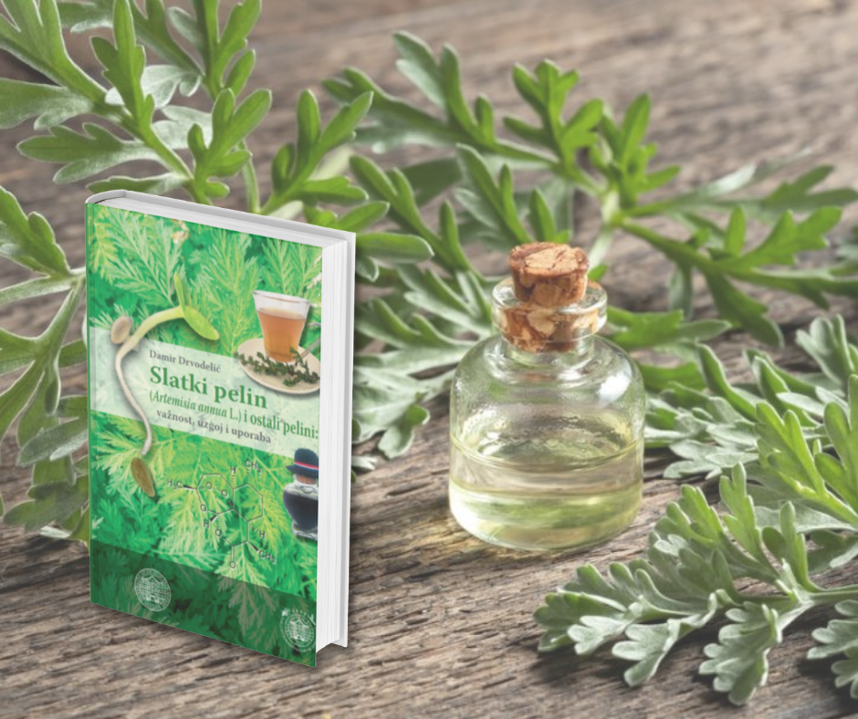 ZNANSTVENE SPOZNAJE O LJEKOVITOSTI I LIJEČENJU SLATKIM PELINOM